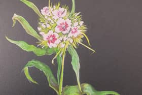 Some of Glynne's artwork.