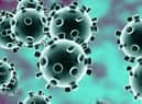 Coronavirus