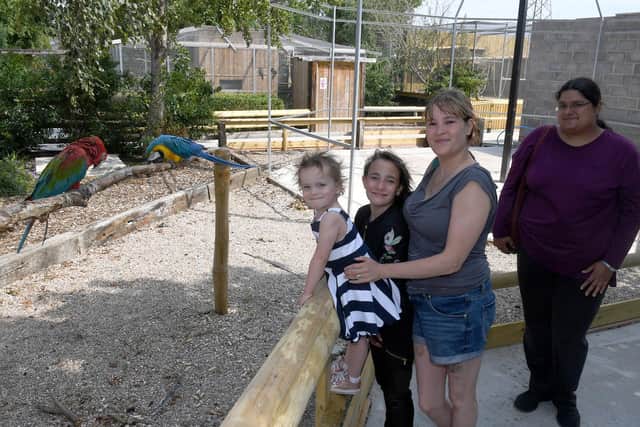Great to see you - (from left) Alisha Bavin 3, Isabelle Bavin 11, Amanda Bavin and Natalie Pyke of Grimsby.