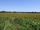 Land off Caistor Road, where the housing development is planned. EMN-201008-083707001