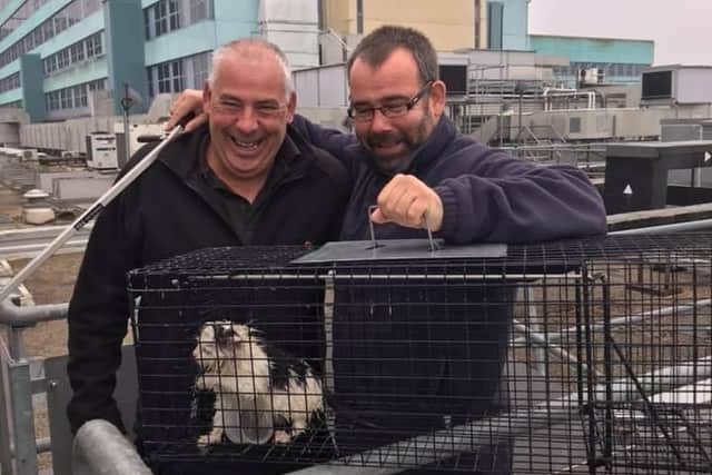 Mission complete (this time for real) ... Billy White (left) and Richard Gatenby, from the estates and facilities team, leading figures in the rescue, with the final kitten.