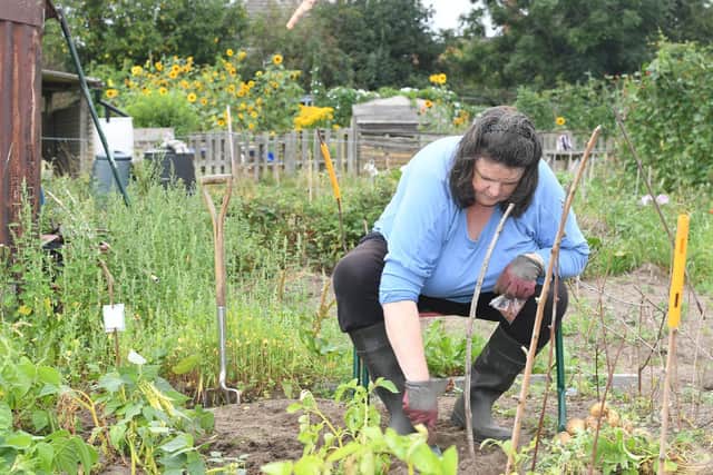 Tracey Holliday of the New Life Centre, Spilsby, sewing some seeds to grow fresh vegetables for the local food bank.
