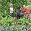 Mum Nathalie Elesia with (from left)  Maci Dan, 6, and twins Matthias Dan, 3, and Ethan Dan, 3, at Spilsby Allotments.