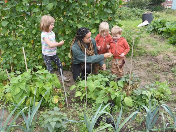 Mum Nathalie Elesia with (from left)  Maci Dan, 6, and twins Matthias Dan, 3, and Ethan Dan, 3, at Spilsby Allotments.