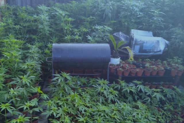 The haul seized by police