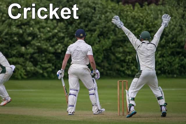 Cricket action