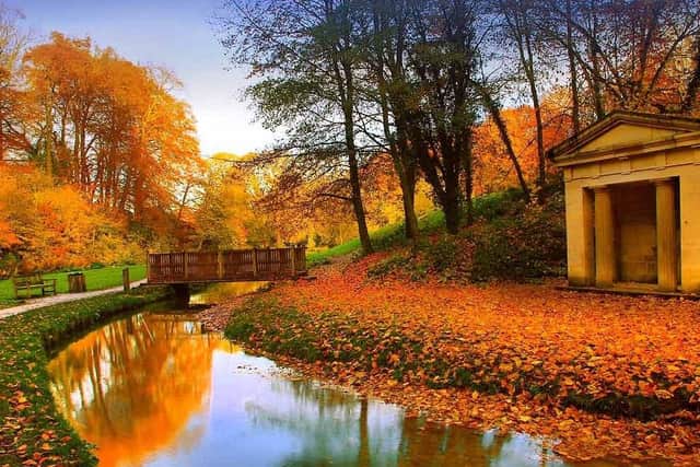 Hubbard's Hills, pictured in the autumn.