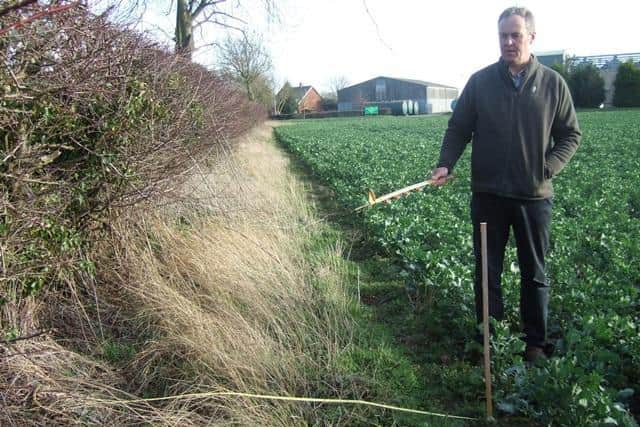 Volunteers are needed to explore hedgerows.