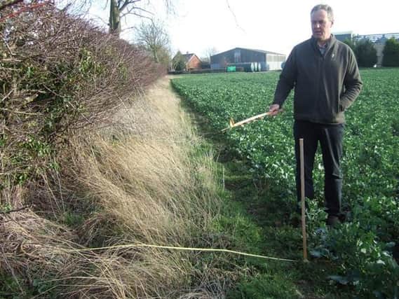 Volunteers are needed to explore hedgerows.