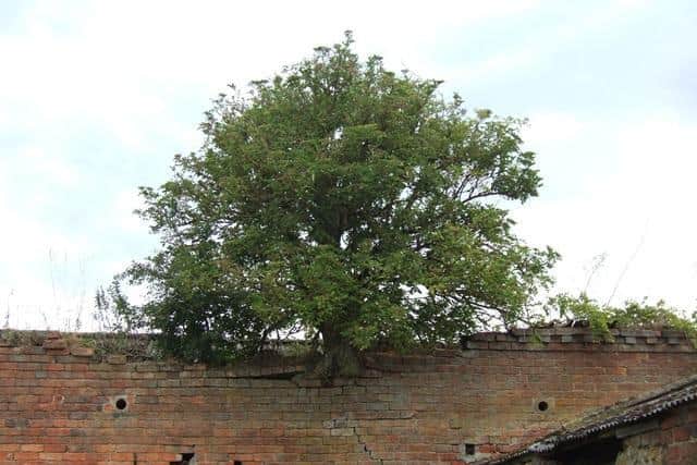 A survey is also being held on historic farm buildings.