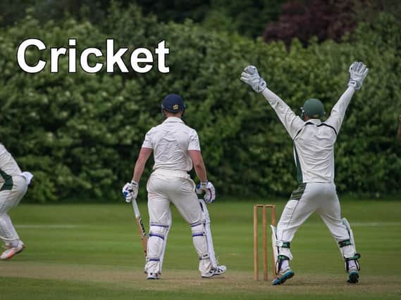 Cricket news.