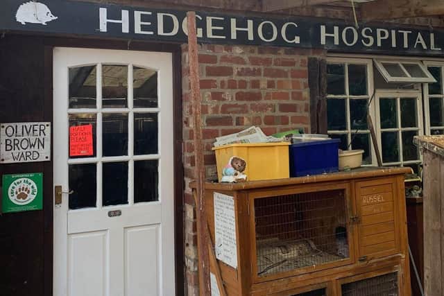 Hedgehog Care in Authorpe.
