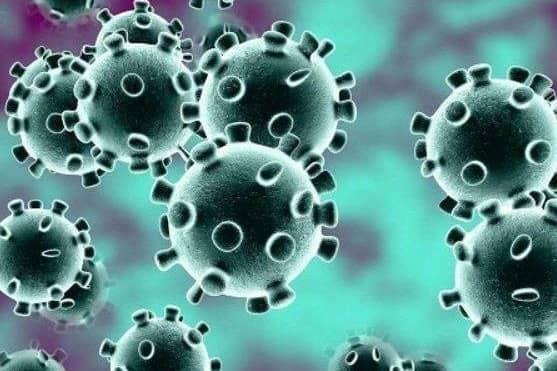 Coronavirus