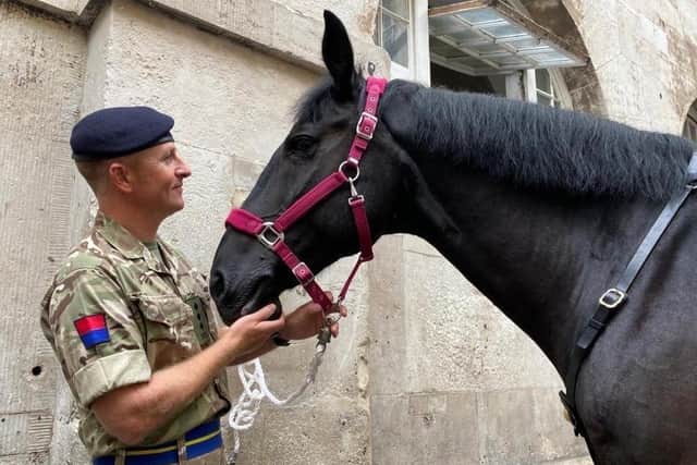Captain Harry Grantham inspects 'Poleaxe' of the Queens Life Guard at Horse Guards parade, in his role as the officer responsible for Equine Assurance in London District. Photo: British Army EMN-200409-211501001