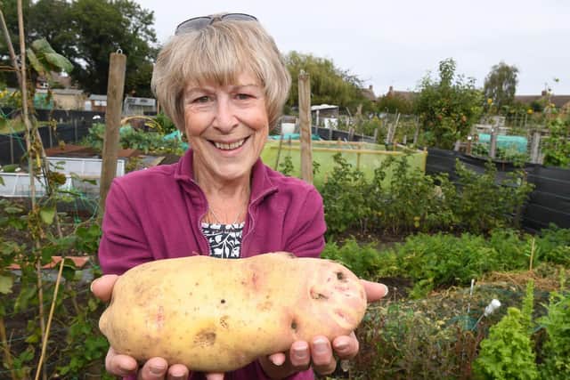 Enough to feed a family - Sharon Marlow of Sleaford with her 1.22kg potato. EMN-200709-134535001