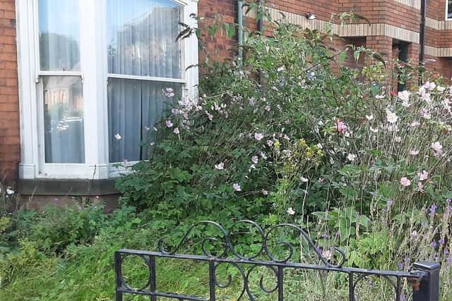 The gardens at 160 Eastgate, next door to Morrisons in Louth.