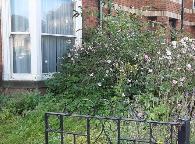 The gardens at 160 Eastgate, next door to Morrisons in Louth.