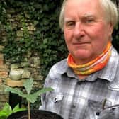 Coun Anthony Brand with one of his saplings for sale. EMN-200909-143442001