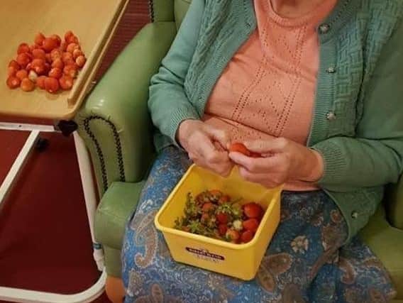 Enjoying the fruits of their labours. Ashdene staff helped residents plant and harvest strawberries to eat. EMN-201109-171726001