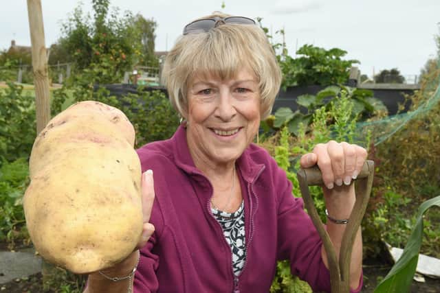 Sharon Marlow of Sleaford with her 1.22kg potato that she has grown . EMN-200914-094050001