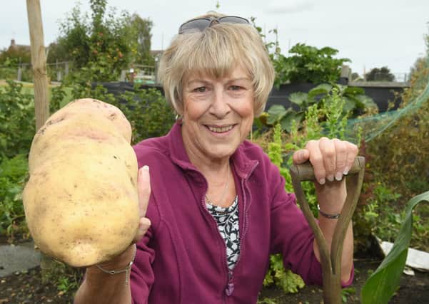Sharon Marlow of Sleaford with her 1.22kg potato that she has grown . EMN-200914-094050001