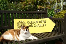 NGS open gardens