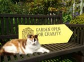 NGS open gardens