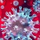 Coronavirus (stock image)