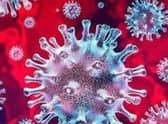 Coronavirus (stock image)