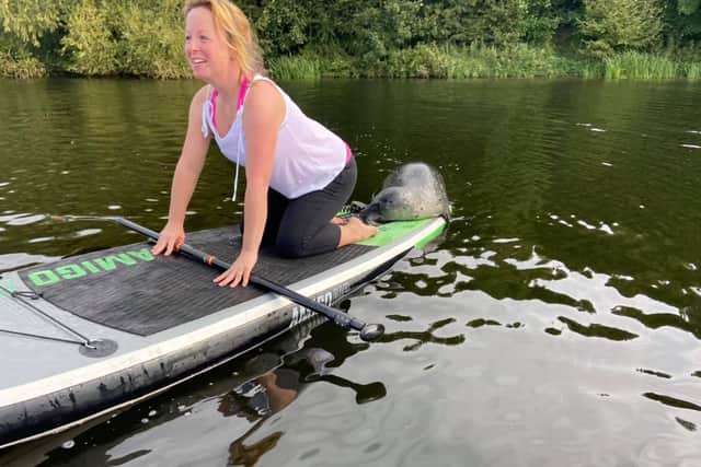 Robyn Smith was having her second paddle board lesson when the seal hopped on to join her.