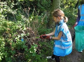 Volunteers cleared hundreds of pieces of litter from the Railway Walk in Louth.