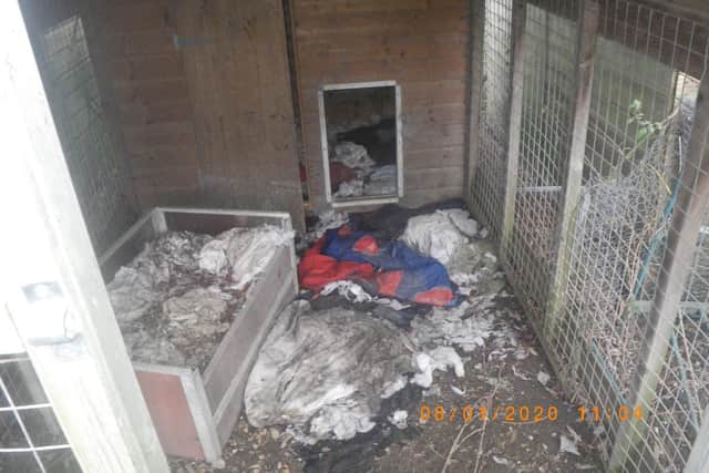 Conditions the animals were kept in picture: RSPCA