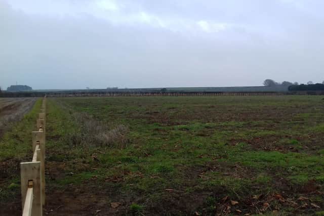 The new cemetery site.