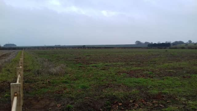 The new cemetery site.