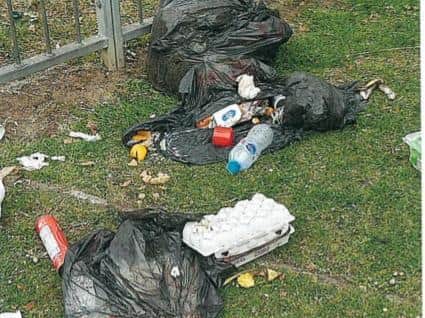 Rubbish and waste dealt with during the clear up