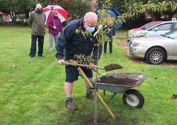 This tree was planted by Catherine Harrison's son, John, at the Orme Almshouses in Eastgate, Louth.