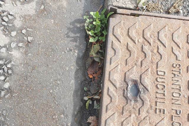 Concern the drains are blocked sparked by plants growing out of them. Photo: Barry Robinson.