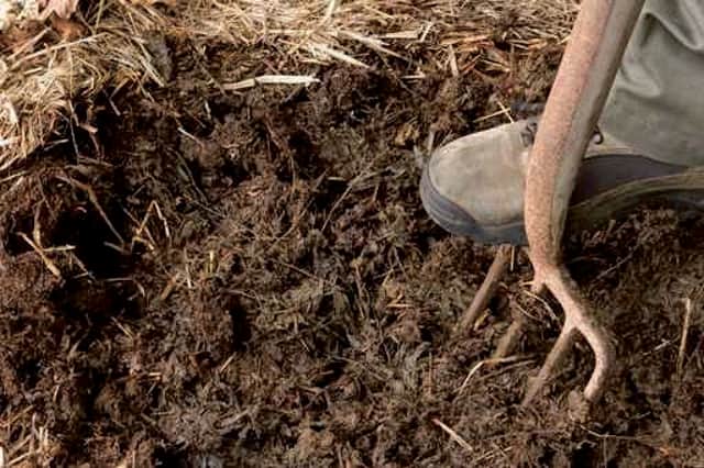 An appeal has been made for gardening equipment, cash and tools to help the project.