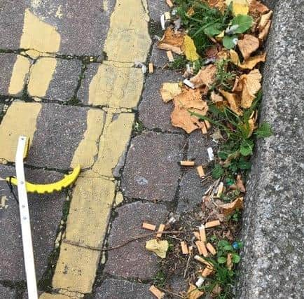 Dozens of cigarette butts left in gulleys along the kerbs which could wash into watercourses and affect marine life. EMN-200929-162954001