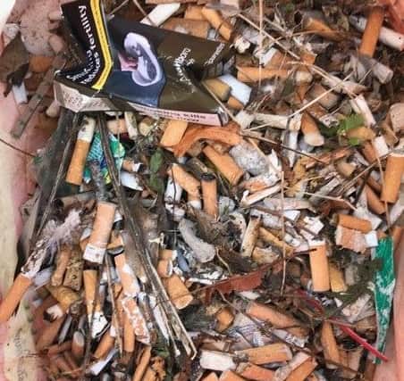 Just some of the hundreds of collected cigarette butts. EMN-200929-162934001