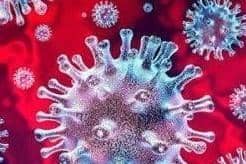 Coronavirus (stock image)