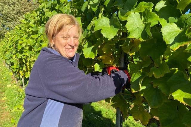 Maureen Fountain works at Ovens Farm and says harvesting is a special time of the year.