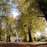 Autumn comes to Gunby Estate. Picture: National Trust