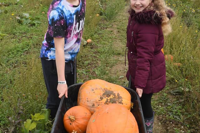 Family pumpkin event at Bells Garden Centre. Ethan Stock 11 and Evie Stock 9 of Ruskington. EMN-201019-103015005