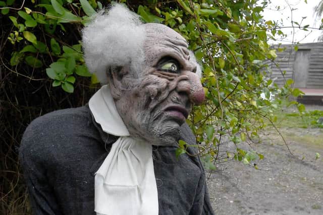 The scary butler mannequin you can see on the Mannakin safari.