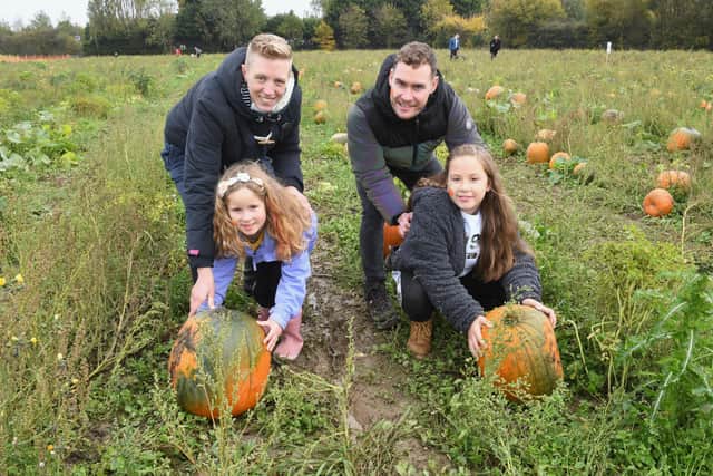 Family pumpkin event at Bells Garden Centre. Danni Dalton and Darren Glan with Chloe Dalton 6 and Lexi Levitt 9. EMN-201019-102947005