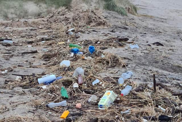 Some of the rubbish cleared away on Skegness beach by Carolyn Smith and her friend.