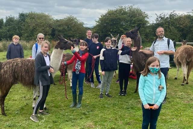 Visitors enjoying the Louth llama trekking venture.
