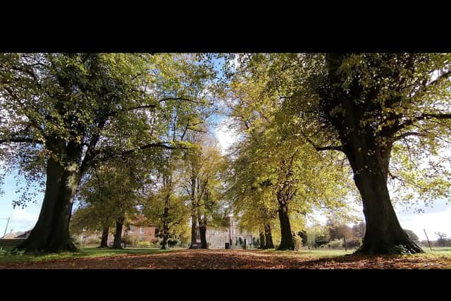 The picture in full. Picture: National Trust