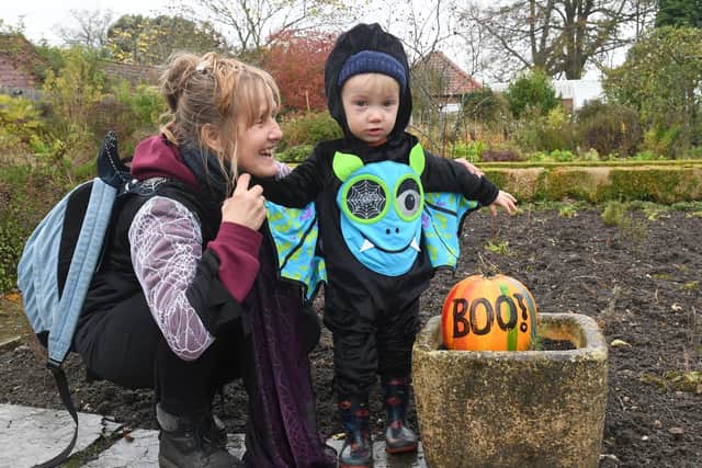 Found another pumpkin! - Denise Tinkler of Alford with her grandson, Joel Shield, aged two.